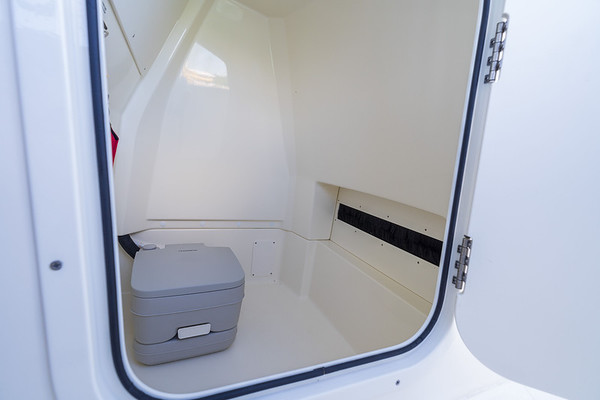 Boston Whaler 250 Dauntless фото 1.10