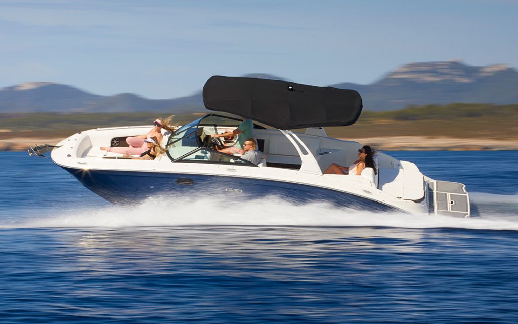 searay_2.jpg