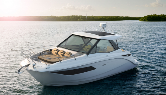 Sea Ray  Sundancer 320 Coupe/546