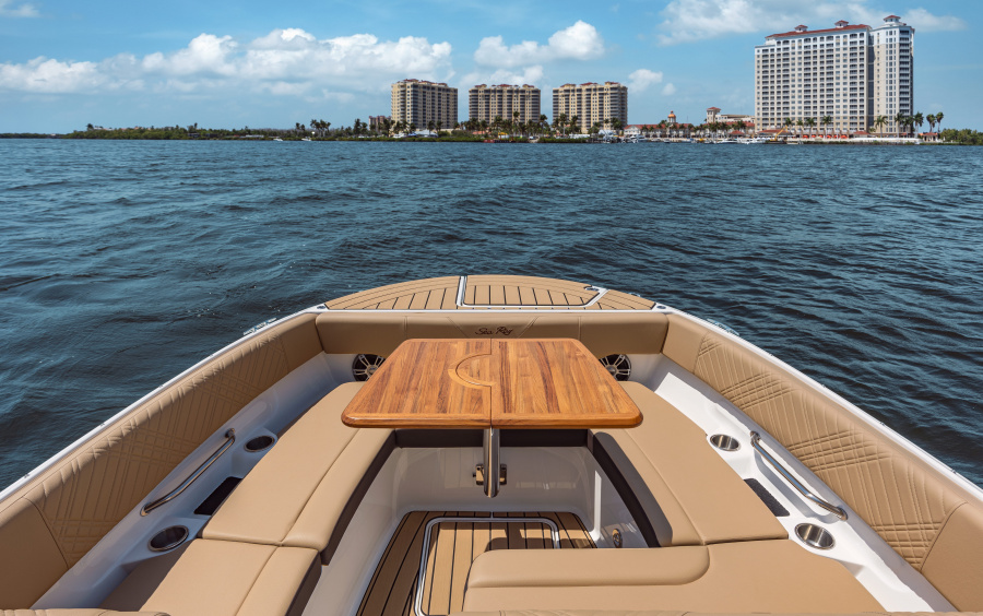 Sea Ray  SDX 270 фото 1.3