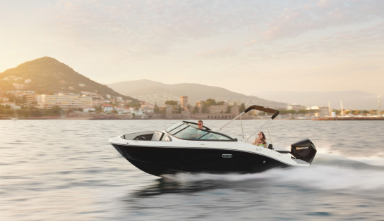 SPX 210 OB/871 (Outboard)